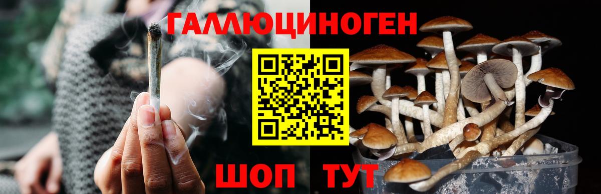 Галлюциногенные грибы ЛСД  Псилоцибиновые грибы Psilocybine cubensis  Лосино-Петровский  Вход с VPN 